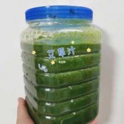 艾草汁水-如何做艾草汁