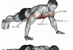 俯卧撑能锻炼什么肌肉-俯卧撑能锻炼什么肌肉