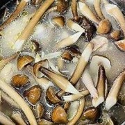 菌类如何做好吃 菌类如何烹调