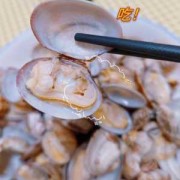 蛤蜊肉如何吃的简单介绍