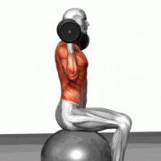  坐着推哑铃练什么肌肉「坐姿哑铃推举的正确动作」