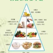 金字塔营养配餐食谱 每天如何金字塔饮食