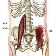 腰最外面的肌肉叫什么名字（腰最外面的肌肉叫什么名字啊）