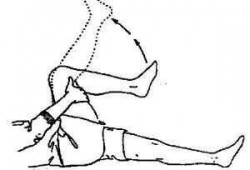 做不了屈膝的动作是为什么_不能做屈伸运动的关节是什么关节