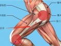 筋膜放松时候肌肉疼是怎么回事-筋膜放松法为什么会疼