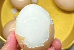 煮鸡蛋如何能快速剥皮