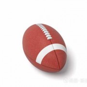 椭圆形的球是什么运动-椭圆的球什么体育