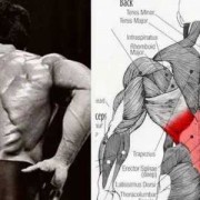 怎么感觉肌肉在长-什么感觉是肌肉在生长
