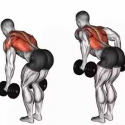 什么动作可以练到背阔肌-什么动作增加背的宽度