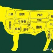 如何辨别牛肉的优劣,怎样分辨牛肉的好坏 