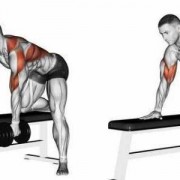 什么动作可以练到背阔肌-什么动作增加背的宽度
