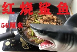 如何烹饪鲨鱼（如何烹饪鲨鱼视频教程）