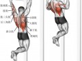  引体向上主要练什么肌肉「引体向上练什么肌肉图片」