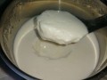 如何用纯牛奶去做酸奶_如何用纯牛奶做酸奶简单