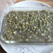 绿豆在冰箱里如何冷藏