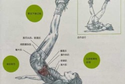 什么动作锻炼腹部肌肉_什么动作可以锻炼腹部肌肉