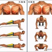 胸肌必练动作-胸肌起反应应该练什么