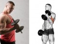 举重能练什么肌肉图解_举重可以增加肌肉吗