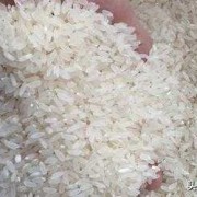 夏天如何防止大米发霉,夏天大米如何防霉变 
