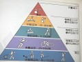健身金字塔是什么（健身金字塔法则是什么意思）