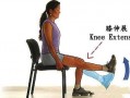 什么运动有利于膝关节-什么运动对膝关节没损害