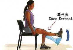 什么运动有利于膝关节-什么运动对膝关节没损害
