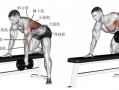 什么动作能够练背,什么动作可以练到背部肌肉 