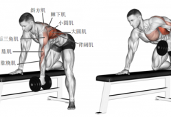 什么动作能够练背,什么动作可以练到背部肌肉 