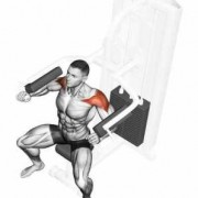 用什么器材锻炼肌肉方法,用什么器材锻炼肌肉方法最有效 