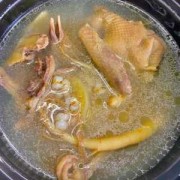 如何煲白鸽汤窍门（如何煲白鸽子汤）