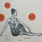 锻炼臀大肌上部用什么动作,怎么锻炼臀大肌上部 
