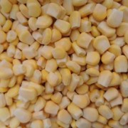  如何冷冻玉米粒「如何冷冻玉米粒更好吃」