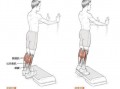 提踵锻炼的是什么肌肉_提踵锻炼的是什么肌肉和肌肉