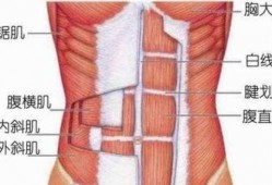 腹肌边上的肌肉是什么原因