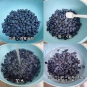 蓝莓如何食用最好-蓝莓如何食用