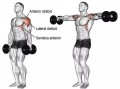 练肩练的是哪块肌肉 练肩的肌肉是什么图片
