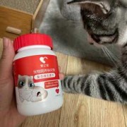 猫咪吃啥可以补充营养 猫咪吃什么补剂