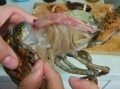 如何洗大龙虾,如何杀大龙虾步骤 