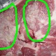 病猪肉如何辨别_病猪肉如何辨别真假图片