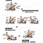 划船时什么肌肉在运动,划船动作锻炼的肌肉 