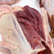 鲜鸭肉保质期多长时间-新鲜鸭肉如何保鲜