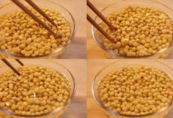 黄豆如何制作方法视频