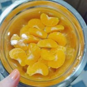 橘子果冻制作方法-如何用橘子做成果冻