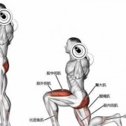 下蹲训练的肌肉 下蹲练臀大肌什么原理