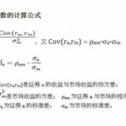 中国上市公司如何估计贝塔系数_公司股票的贝塔系数怎么算