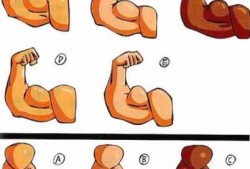  腕力主要什么部位肌肉「腕力主要是哪发力」