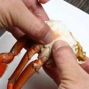 怎样取螃蟹肉教程