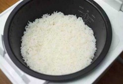  如何用粘米蒸饭「粘米蒸米饭的做法」