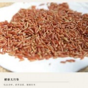  糙米如何食用方法「糙米如何食用方法视频」