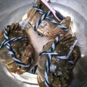  小河蟹如何清理干净「小河蟹怎么养活,小河蟹吃什么」
